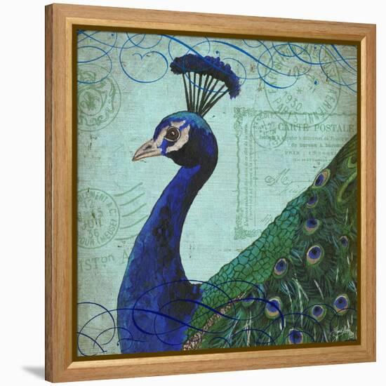 Parisian Peacock II-Elizabeth Medley-Framed Stretched Canvas