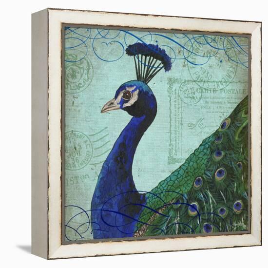 Parisian Peacock II-Elizabeth Medley-Framed Stretched Canvas