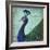 Parisian Peacock II-Elizabeth Medley-Framed Premium Giclee Print