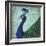 Parisian Peacock II-Elizabeth Medley-Framed Premium Giclee Print