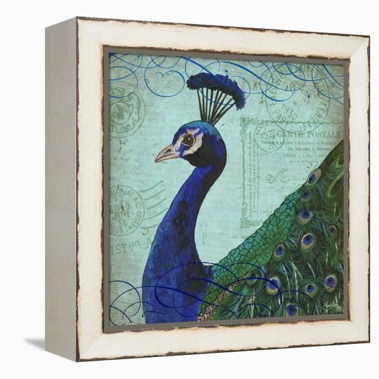 Parisian Peacock II-Elizabeth Medley-Framed Stretched Canvas