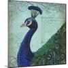 Parisian Peacock II-Elizabeth Medley-Mounted Art Print