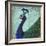 Parisian Peacock II-Elizabeth Medley-Framed Art Print