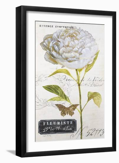 Parisian Peony-Angela Staehling-Framed Premium Giclee Print