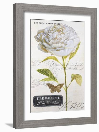 Parisian Peony-Angela Staehling-Framed Art Print