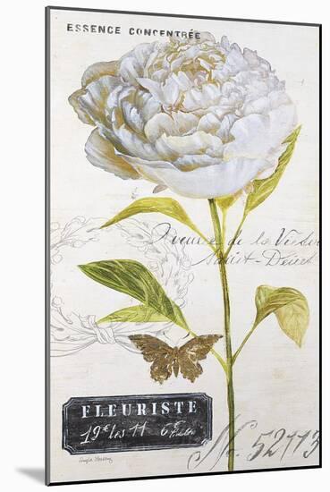 Parisian Peony-Angela Staehling-Mounted Art Print