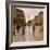 Parisian Street Scene-Luigi Loir-Framed Giclee Print