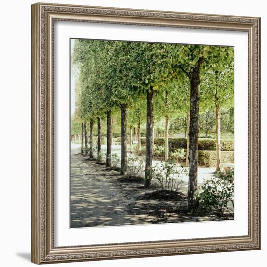 Parisian Stroll I-Emily Navas-Framed Photographic Print