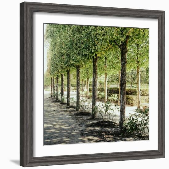 Parisian Stroll I-Emily Navas-Framed Photographic Print