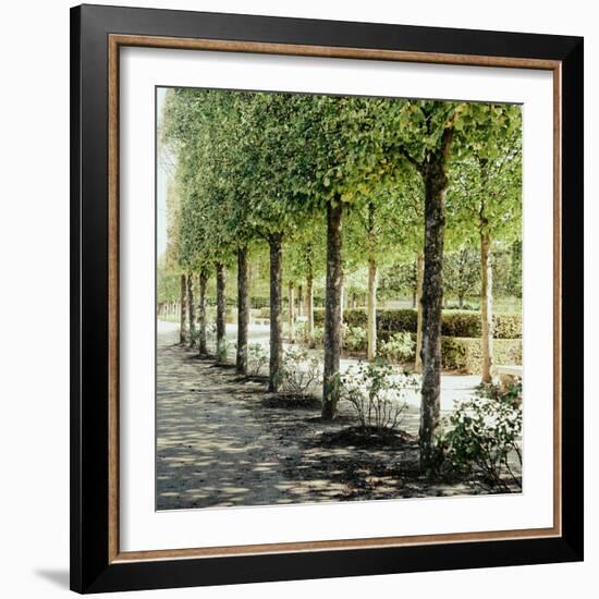 Parisian Stroll I-Emily Navas-Framed Photographic Print