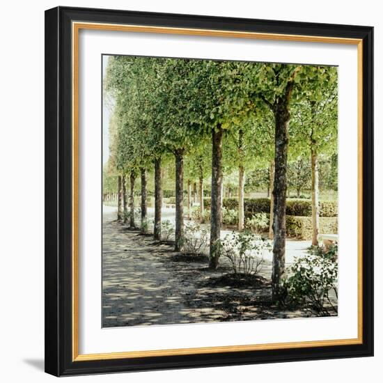 Parisian Stroll I-Emily Navas-Framed Photographic Print