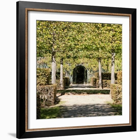 Parisian Stroll II-Emily Navas-Framed Photographic Print