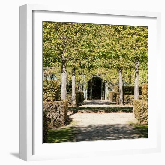 Parisian Stroll II-Emily Navas-Framed Photographic Print