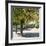 Parisian Stroll III-Emily Navas-Framed Photographic Print