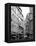 Parisian Stroll III-Sharon Chandler-Framed Premier Image Canvas