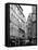 Parisian Stroll III-Sharon Chandler-Framed Premier Image Canvas