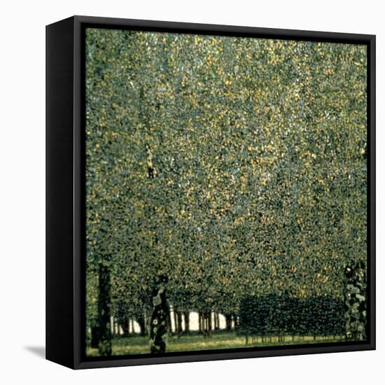 Park, 1910-Gustav Klimt-Framed Premier Image Canvas