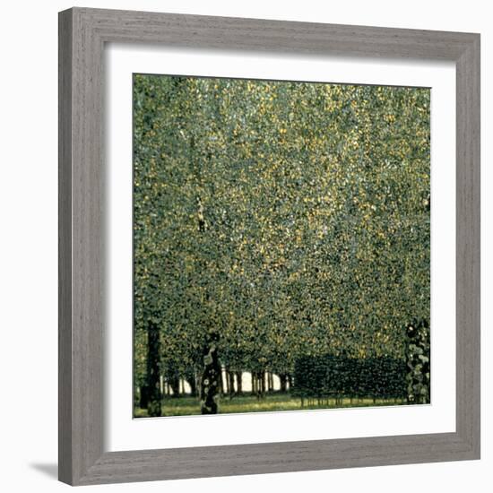 Park, 1910-Gustav Klimt-Framed Giclee Print