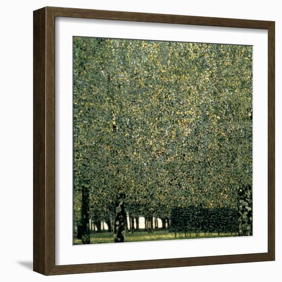 Park, 1910-Gustav Klimt-Framed Giclee Print