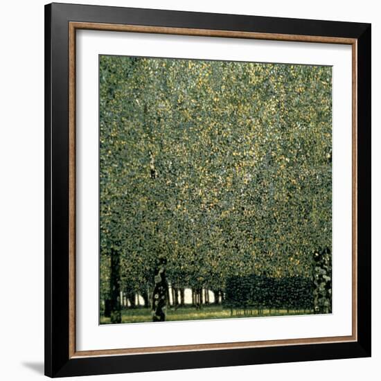 Park, 1910-Gustav Klimt-Framed Giclee Print