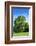 Park and Garden of Villa Demidoff, Pratolino, Vaglia, Firenze, Italy-Nico Tondini-Framed Photographic Print