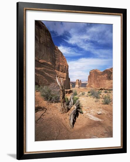 Park Avenue, Arches National Park, Moab, Utah, USA-Lee Frost-Framed Photographic Print