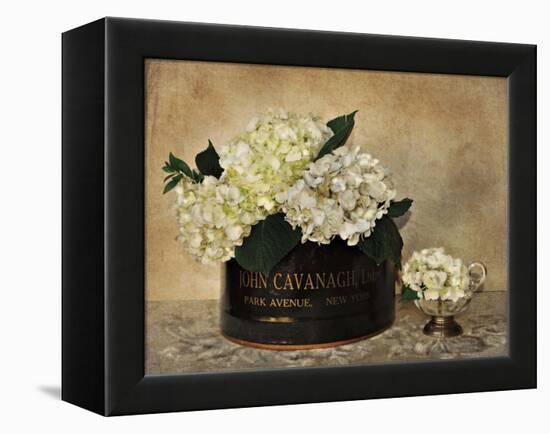 Park Avenue Hydrangea-Cristin Atria-Framed Stretched Canvas