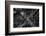 Park Avenue New York-Bruce Getty-Framed Photographic Print