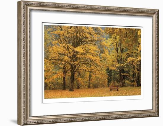 Park Bench in Fall-Donald Paulson-Framed Giclee Print