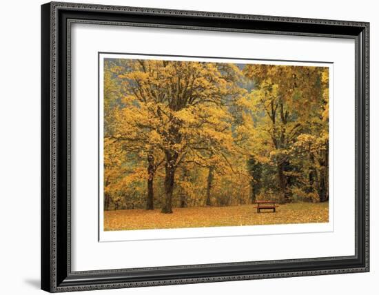 Park Bench in Fall-Donald Paulson-Framed Giclee Print