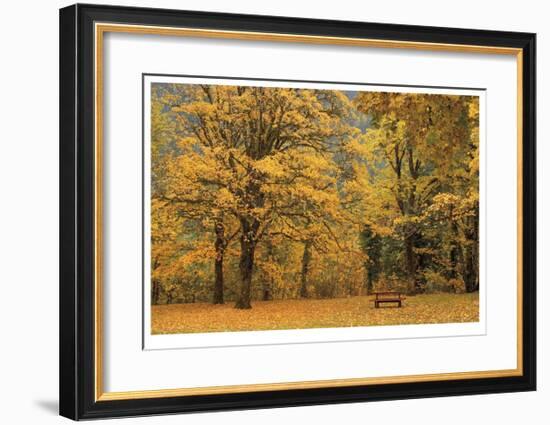 Park Bench in Fall-Donald Paulson-Framed Giclee Print