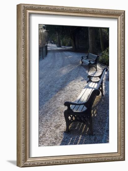 Park Bench under a Light Dusting of Snow-Natalie Tepper-Framed Photo