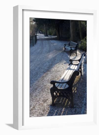 Park Bench under a Light Dusting of Snow-Natalie Tepper-Framed Photo