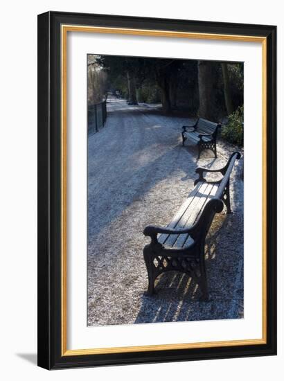 Park Bench under a Light Dusting of Snow-Natalie Tepper-Framed Photo