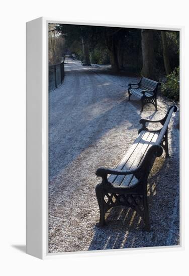 Park Bench under a Light Dusting of Snow-Natalie Tepper-Framed Stretched Canvas