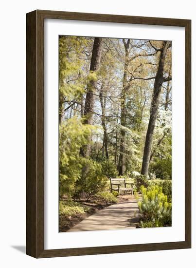 Park Bench-Karyn Millet-Framed Photographic Print