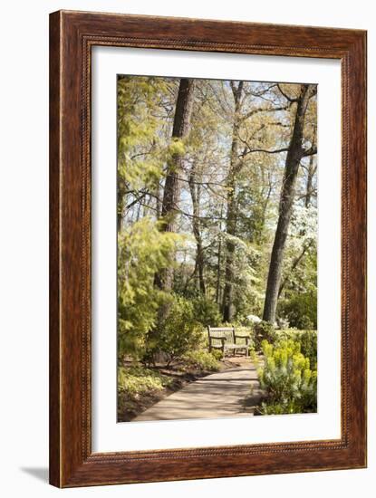 Park Bench-Karyn Millet-Framed Photographic Print