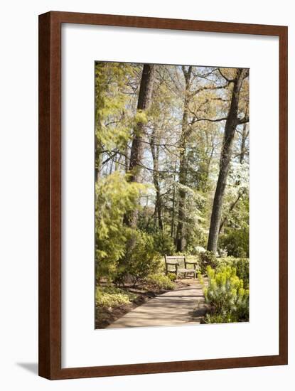 Park Bench-Karyn Millet-Framed Photographic Print
