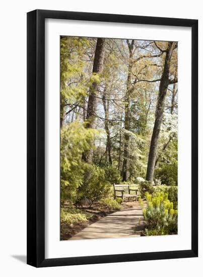 Park Bench-Karyn Millet-Framed Photographic Print