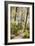 Park Bench-Karyn Millet-Framed Photographic Print