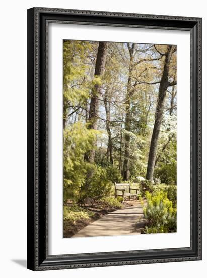 Park Bench-Karyn Millet-Framed Photographic Print