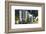 Park Central II-Richard James-Framed Art Print