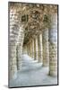 Park Guell Colonnaded Footpath, Barcelona, Spain-Rob Tilley-Mounted Photographic Print