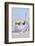 Park Guell Terrace, Barcelona, Spain-Rob Tilley-Framed Photographic Print