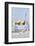 Park Guell Terrace, Barcelona, Spain-Rob Tilley-Framed Photographic Print