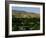 Park in a City, Ann Morrison Park, Boise, Ada County, Idaho, USA-null-Framed Photographic Print