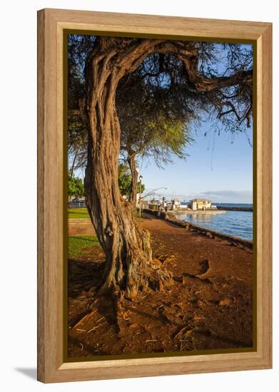 Park on the Coast of Lahaina, Maui, Hawaii, United States of America, Pacific-Michael-Framed Premier Image Canvas