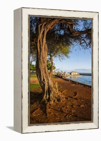 Park on the Coast of Lahaina, Maui, Hawaii, United States of America, Pacific-Michael-Framed Premier Image Canvas