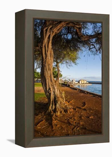 Park on the Coast of Lahaina, Maui, Hawaii, United States of America, Pacific-Michael-Framed Premier Image Canvas