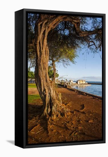 Park on the Coast of Lahaina, Maui, Hawaii, United States of America, Pacific-Michael-Framed Premier Image Canvas